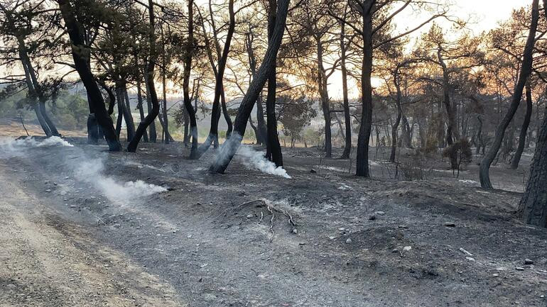 48 saatlik mücadele: Çanakkale'deki yangın kontrol altında!