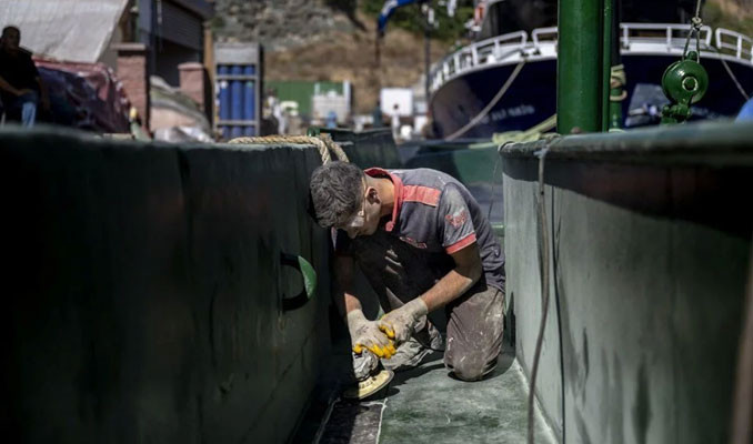 İstanbullular hamsi, istavrit ve çinekopa doyacak