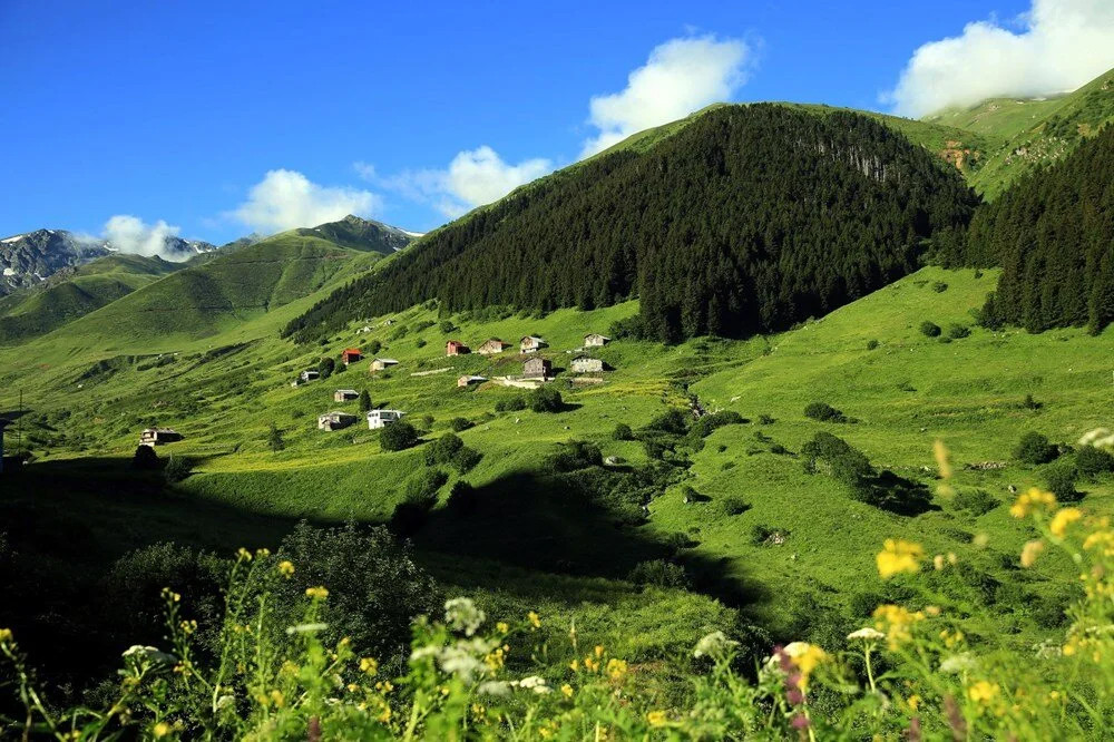 Karadeniz'de korkutan manzara: Son 10 yılda yüzde 80 artış!