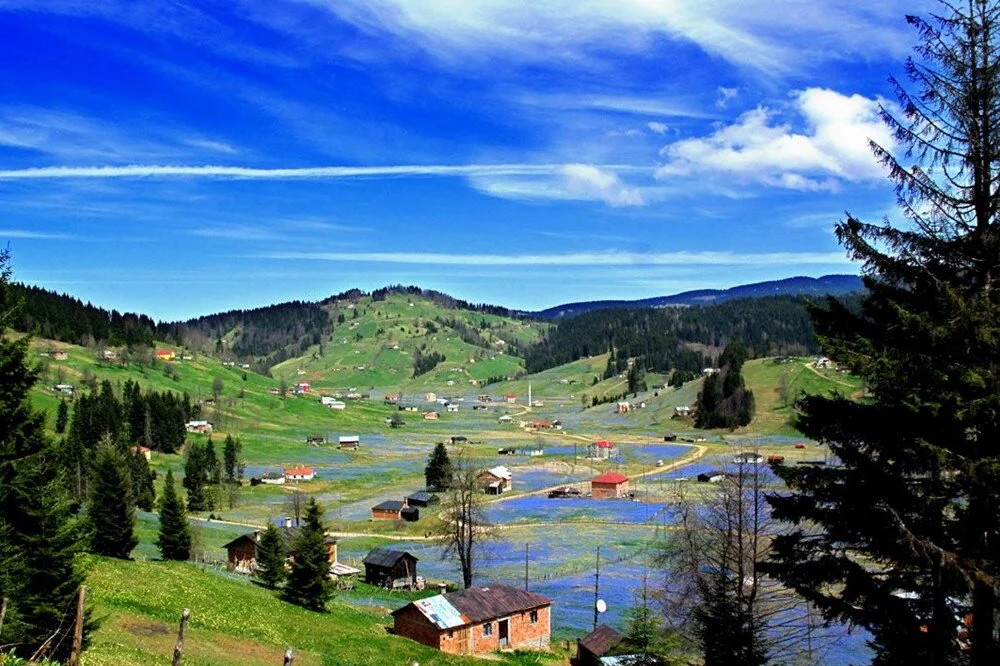 Karadeniz'de korkutan manzara: Son 10 yılda yüzde 80 artış!