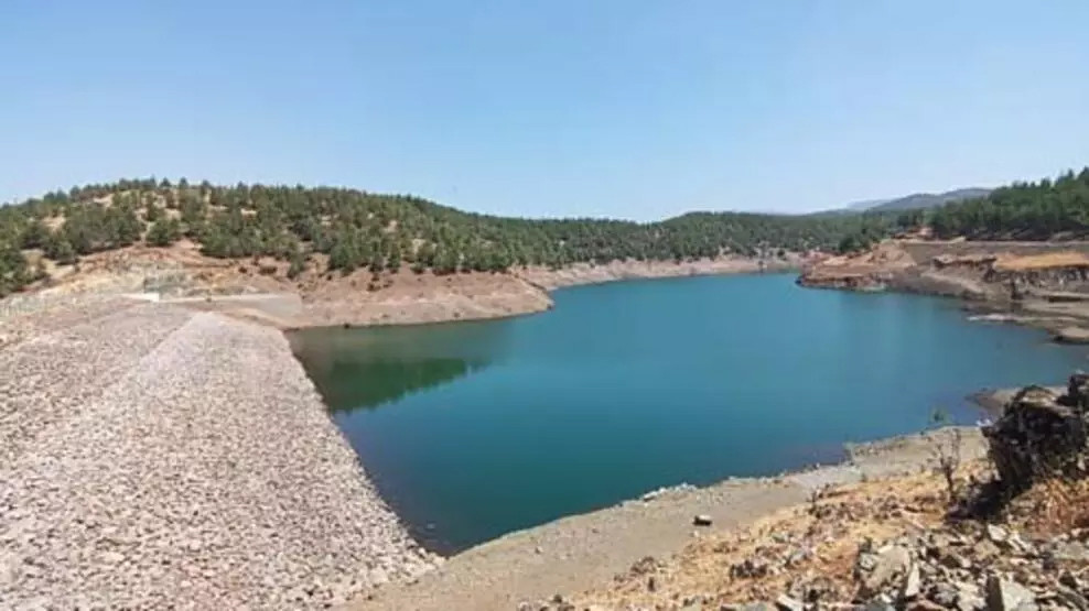 Gaziantep'te endişe veren görüntü: Yüzde 5'e düştü!