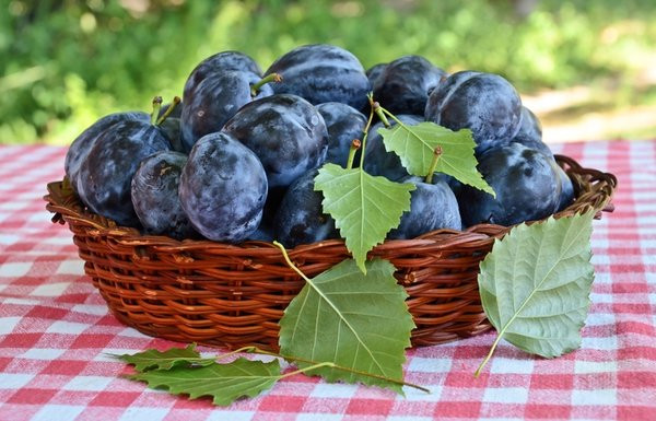 Günde 5 tane yeterli: Kansere karşı koruyan mucizevi meyve!