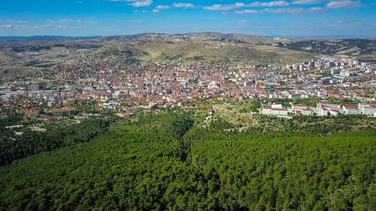 Türkiye'nin kalp haritası: Bu şehirde yaşayanlar dikkat!