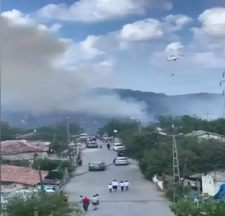 Ormanları ve AVM'yi yaktılar: Kundakçıların parası Fransa'dan!