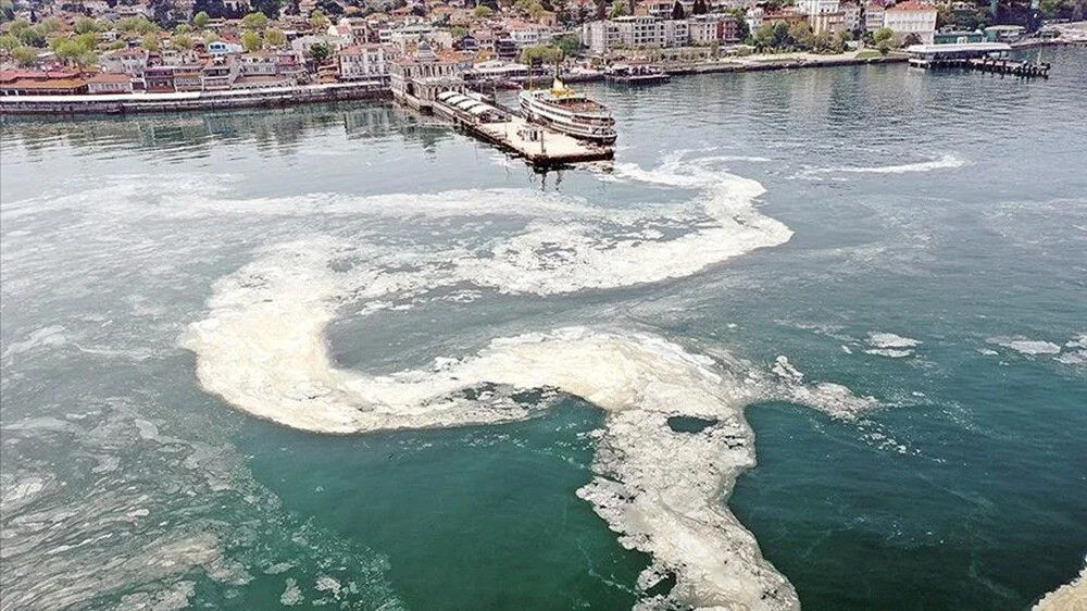 Marmara'da müsilaj tehlikesi!