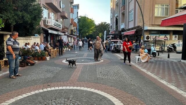 İşte Türkiye'nin en yaşlı ve en genç iller hangileri?