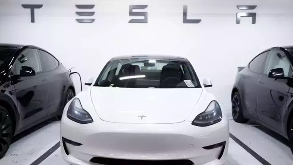 Tesla fabrikasına saldırı: İşte 'Volkan Grubu' hakkında bilinenler...