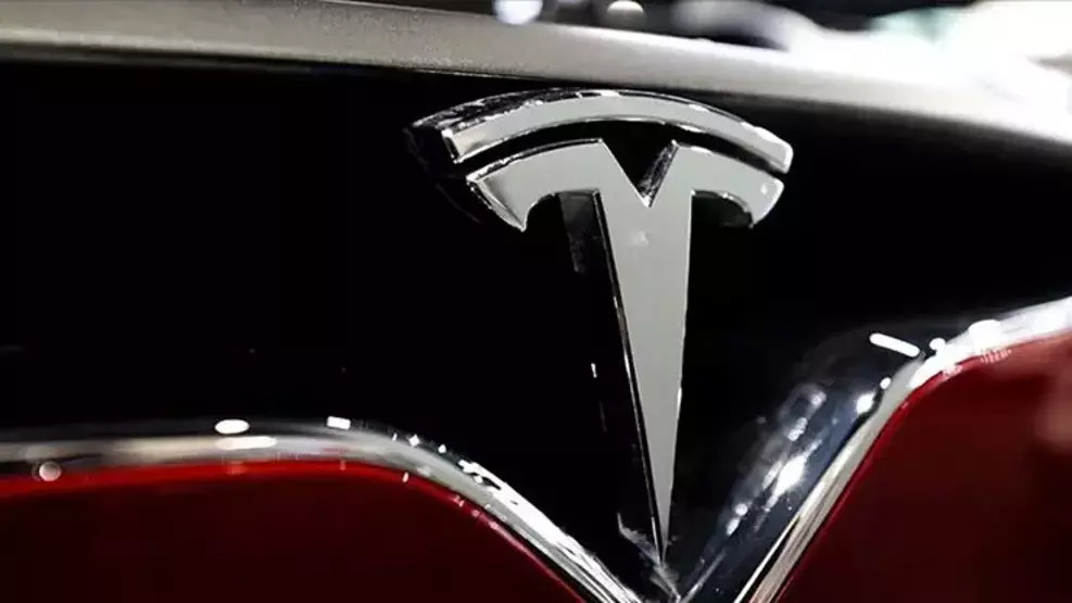 Tesla fabrikasına saldırı: İşte 'Volkan Grubu' hakkında bilinenler...