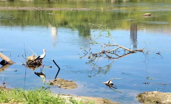 Trakya'da alarm! Tunca'nın debisi düştü, yer altı suları azaldı