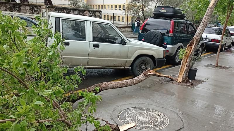 Kuvvetli fırtına ve yağış! Ağaçlar devrildi, minareler yıkıldı