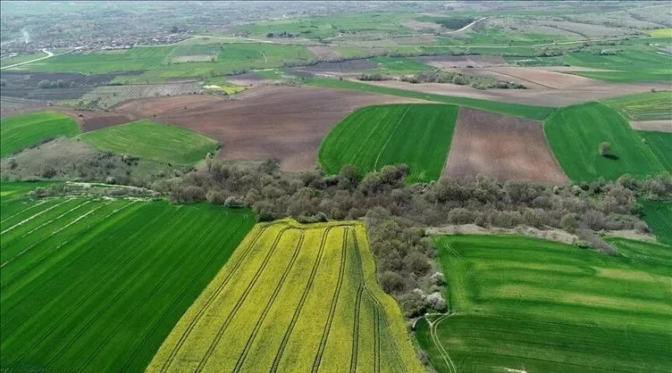 Kentsel Dönüşüm Başkanlığı duyurdu: Uygun fiyata 1140 arsa!