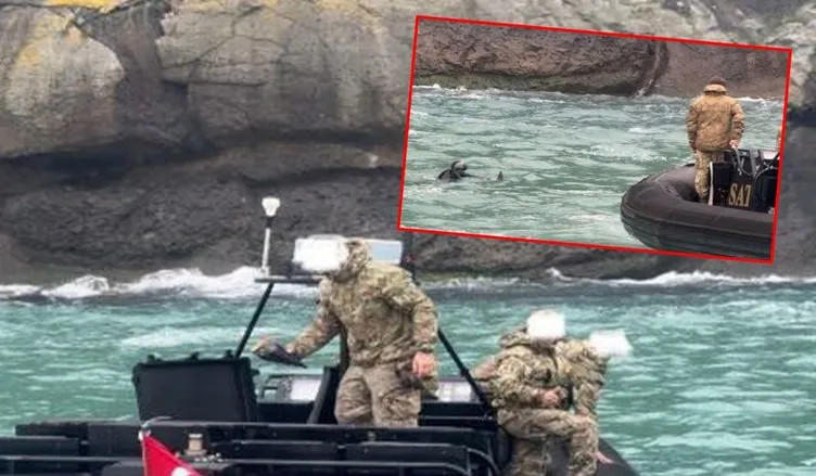 İstanbul Boğazı’nda panik: Beykoz'da radar füzesi bulundu!