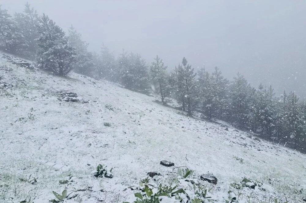 İlkbaharda kış geri döndü!