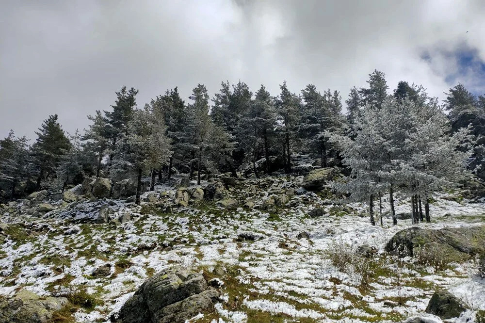 İlkbaharda kış geri döndü!