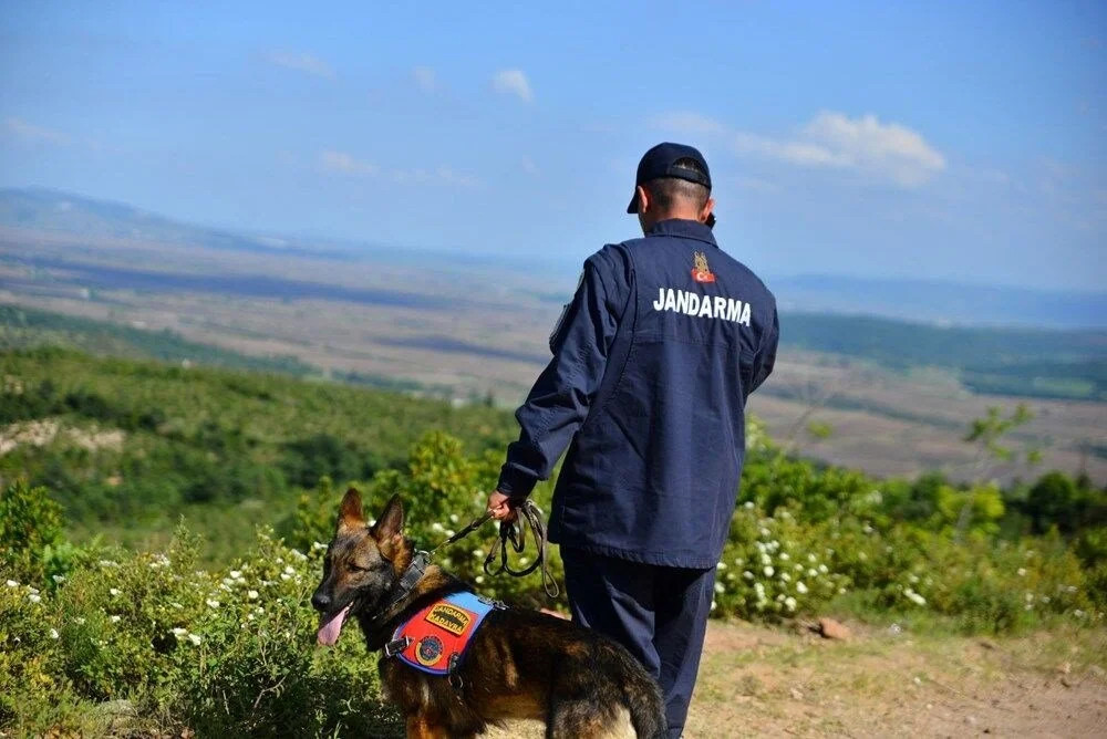 Ekonomist Korhan Berzeg'in ölüm sebebi belirlenemedi!