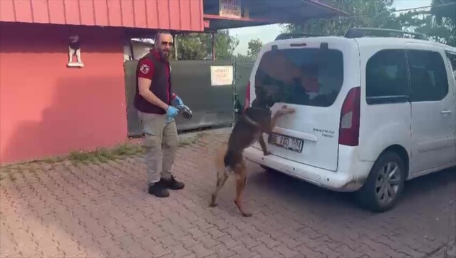 Kraliçe arı taşıyoruz denen kovanlardan 53 kilo uyuşturucu çıktı!