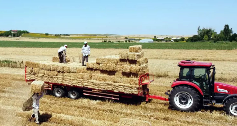 Kavurucu sıcakta balya taşıma... Günlük kazanç 4 bin lira!