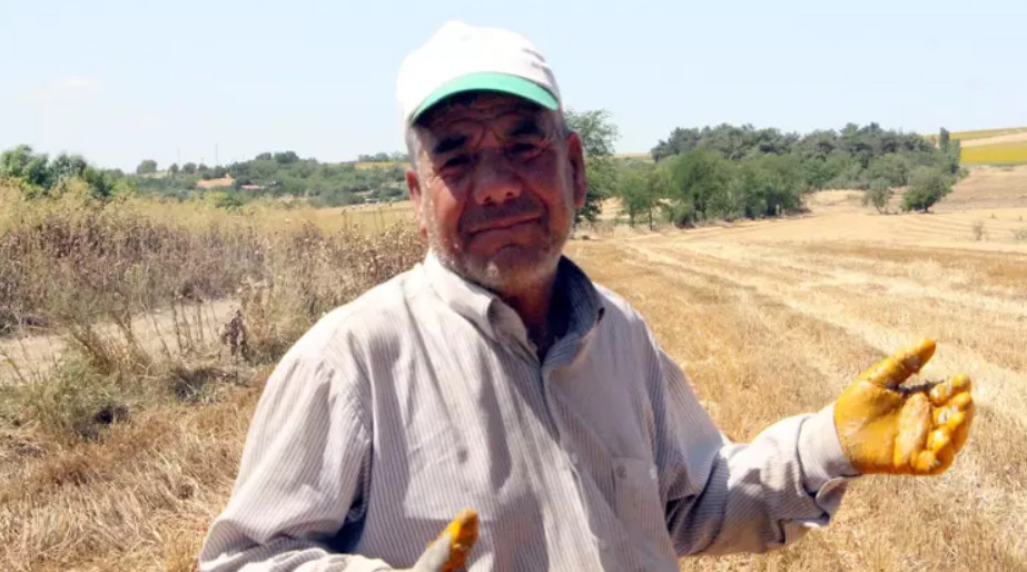 Kavurucu sıcakta balya taşıma... Günlük kazanç 4 bin lira!