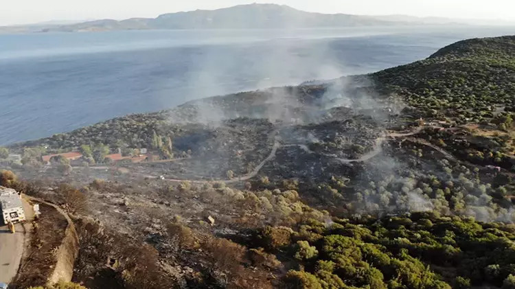 Canları pahasına alevlerin içine daldılar: Assos küle döndü!