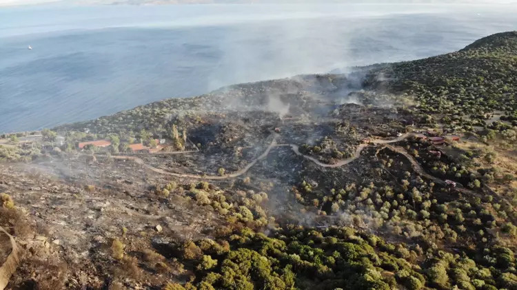 Canları pahasına alevlerin içine daldılar: Assos küle döndü!