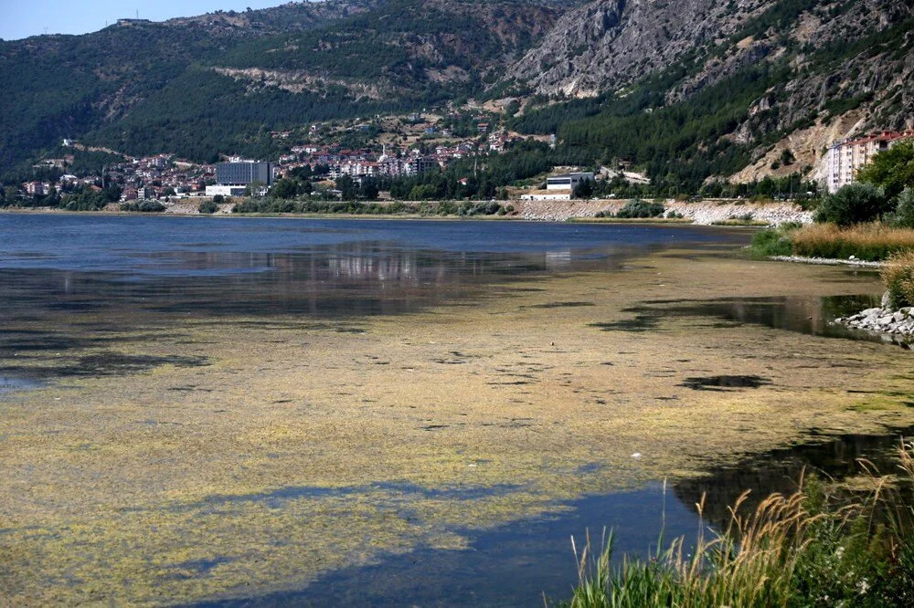 Eğirdir Gölü'nü önce kuraklık vurdu şimdi kirlilik!