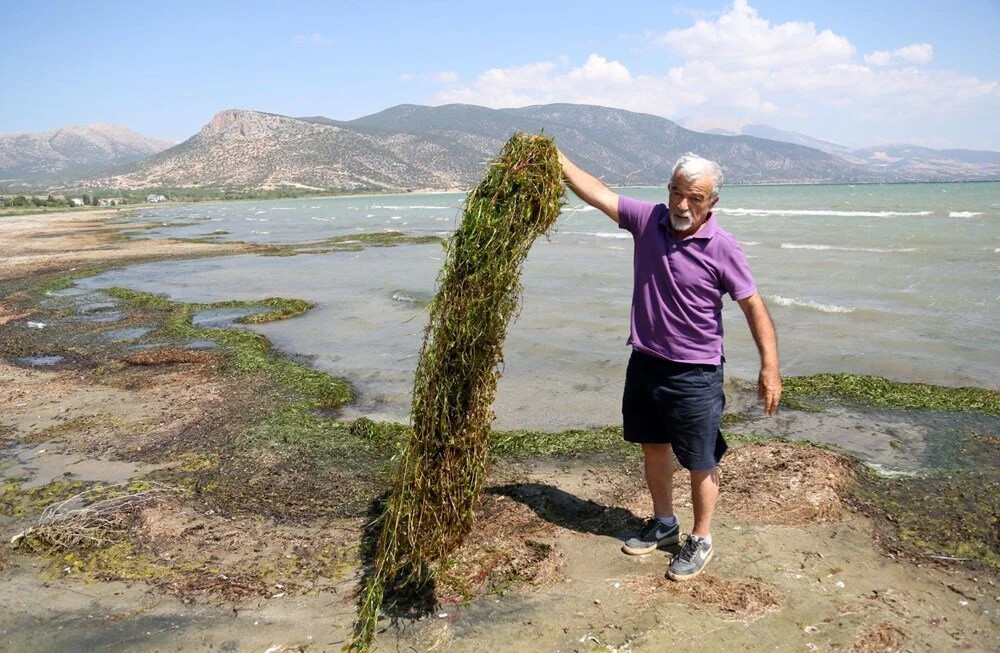 Eğirdir Gölü'nü önce kuraklık vurdu şimdi kirlilik!