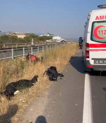 Kaza raporu açıklandı: Rus fenomenden ölümcül hata!