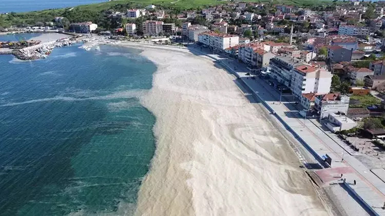 Marmara Denizi'nin sıcaklığı 2.5 derece arttı: Müsilaj alarmı!