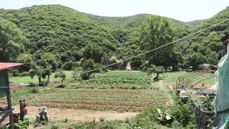 Pirinççi Köyü ve İSKİ arasında tahliye tartışması!