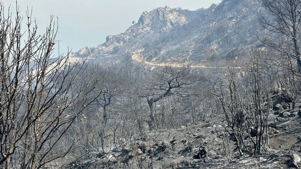 İzmir'de 5 gün süren yangının nedeni ortaya çıktı!