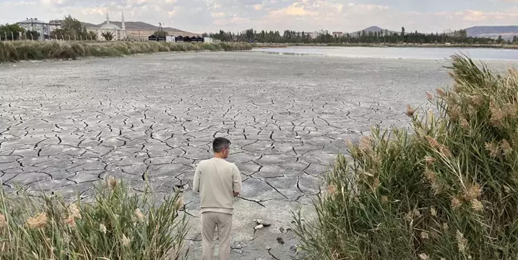 Günden güne kuruyor: Nesli tehlikedeki ördekler gölü terk ediyor!