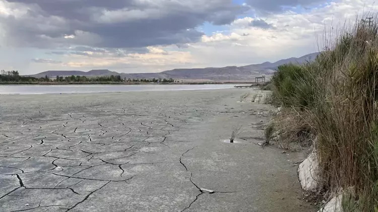 Günden güne kuruyor: Nesli tehlikedeki ördekler gölü terk ediyor!