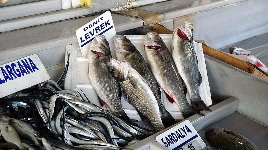 Eylül ayında hangi balıklar tüketilmeli? Balığın 10 faydası!