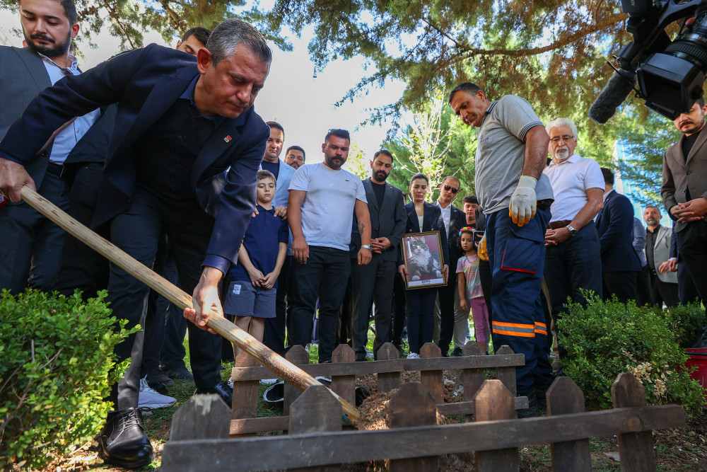 CHP'nin maskotu Şero öldü!