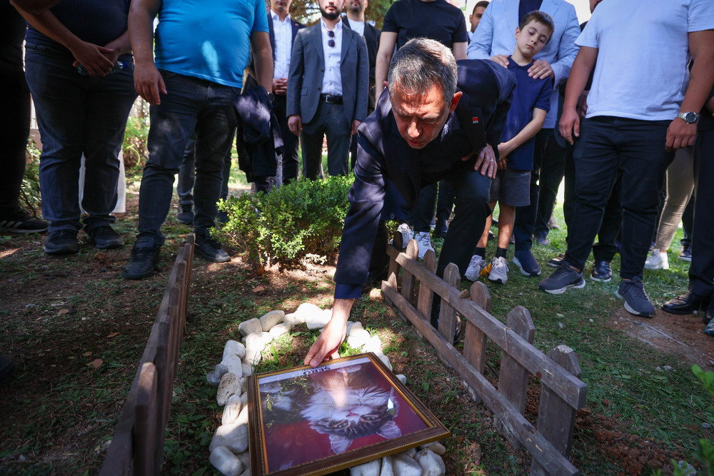 CHP'nin maskotu Şero öldü!