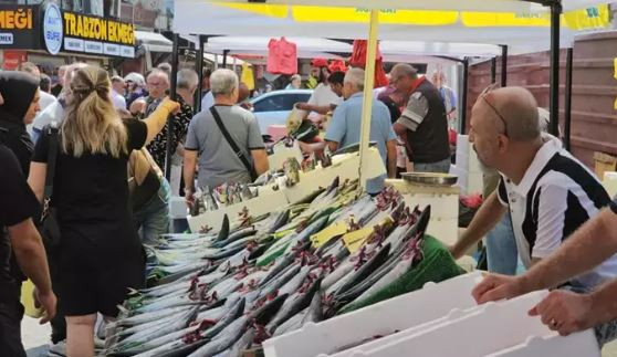 100 ton palamut yakalandı, tanesi 40 liraya düştü