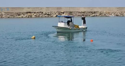 100 ton palamut yakalandı, tanesi 40 liraya düştü