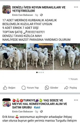 Sahte meyve ilanı ile milyonluk vurgun!