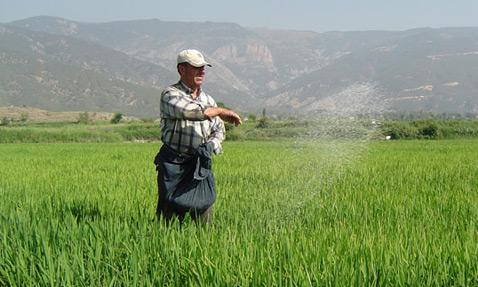 Devlet Baba'dan, evlatlarına 353 milyar