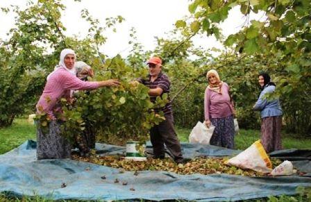 Devlet Baba'dan, evlatlarına 353 milyar