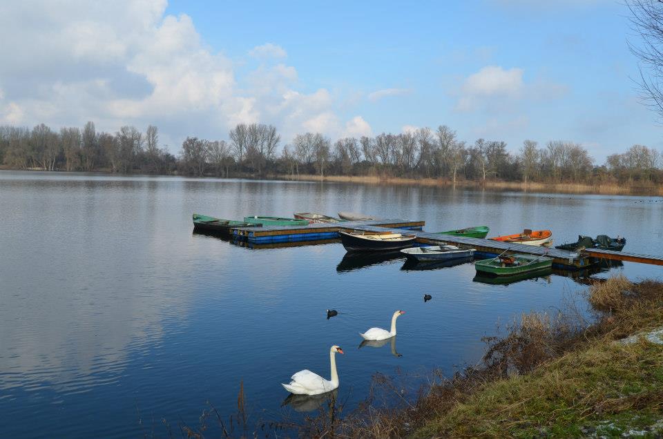 Almanya Baden Württemberg'den kış manzaraları