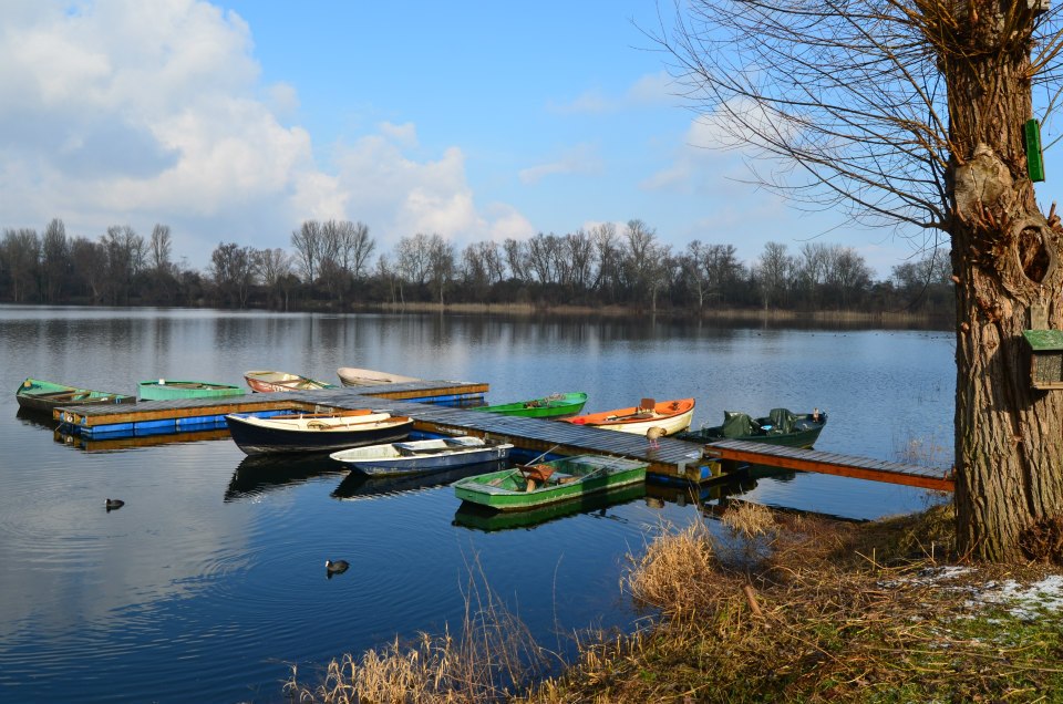 Almanya Baden Württemberg'den kış manzaraları