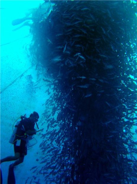 Okyanusu 3 Renge Ayıran Eleuthera Adası 