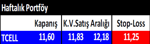 15 hisselik haftalık portföy önerisi