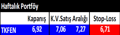 15 hisselik haftalık portföy önerisi