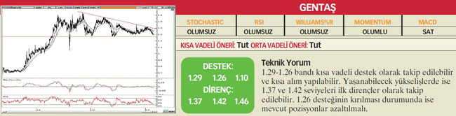 22 hisselik öneri listesi