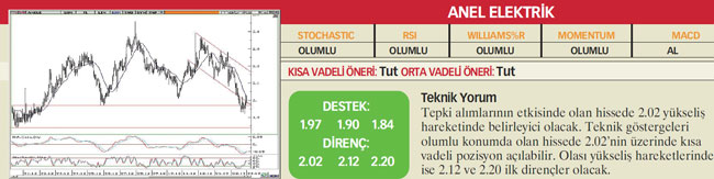 22 hisselik teknik analiz