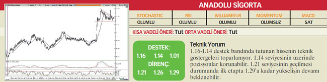 22 hisselik teknik analiz