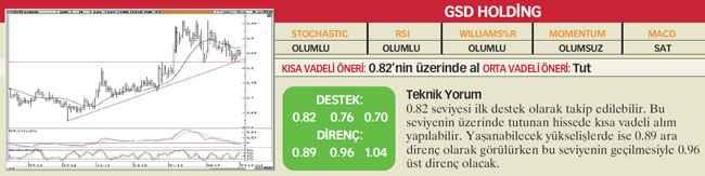 22 hisselik teknik analiz