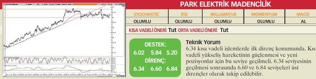 22 hisselik teknik analiz